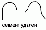 ПОЛРЕД Команда